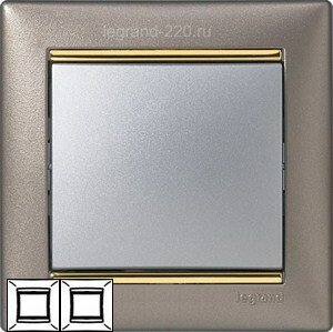 Рамка Valena 2-я Титан/Золотой штрих 770362 ― Legrand-220.ru