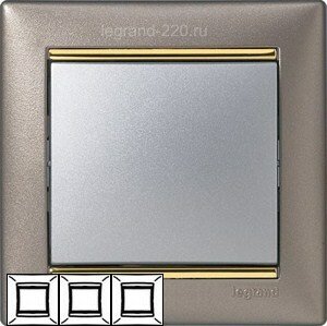 Рамка Valena 3-я Титан/Золотой штрих 770363 ― Legrand-220.ru