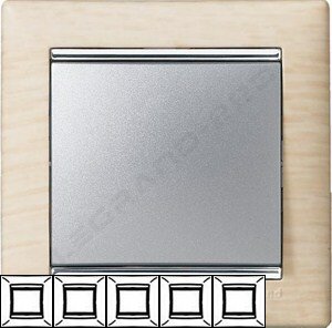 Рамка Valena 5-я Светлое дерево/Серебрянный штрих 770385 ― Legrand-220.ru