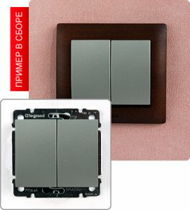 Выключатель двухклавишный 10А ― Legrand-220.ru