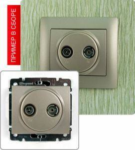 Розетка TV-RD простая ― Legrand-220.ru
