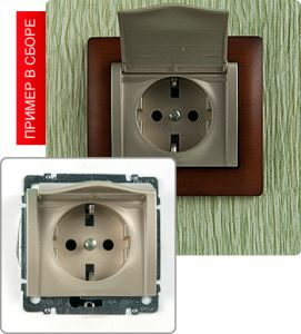 Розетка с заземлением, с защитными шторками, с защитной крышкой, 16А ― Legrand-220.ru