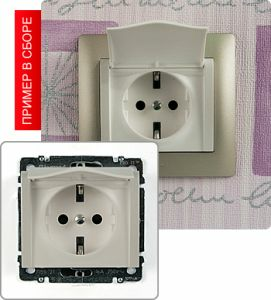 Розетка с заземлением, с защитными шторками, с защитной крышкой, 16А ― Legrand-220.ru