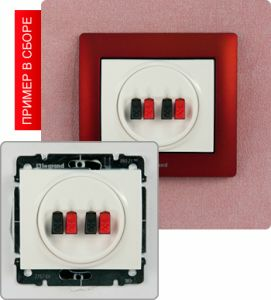 Акустическая розетка двойная ― Legrand-220.ru