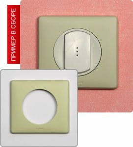 Рамка однопостовая (Светло-бежевый) ― Legrand-220.ru