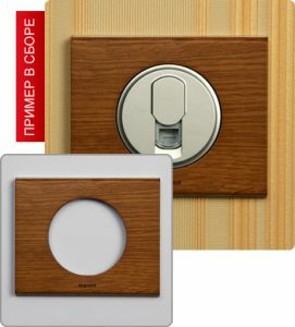 Рамка однопостовая (Дуб) ― Legrand-220.ru