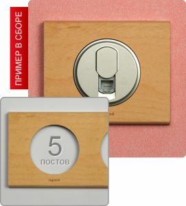 Рамка пятипостовая (Клен) ― Legrand-220.ru