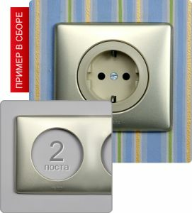 Рамка двухпостовая (Титан) ― Legrand-220.ru