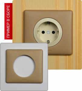 Рамка однопостовая (Имбирь)) ― Legrand-220.ru
