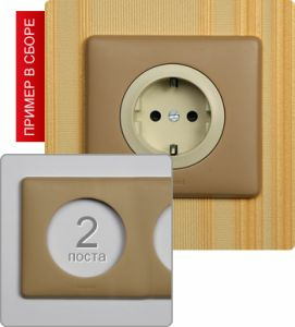 Рамка двухпостовая (Имбирь)) ― Legrand-220.ru