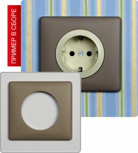 Рамка однопостовая (Норка) ― Legrand-220.ru