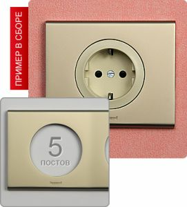 Рамка пятипостовая (Никель велюр) ― Legrand-220.ru