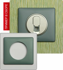Рамка однопостовая (Грей) ― Legrand-220.ru