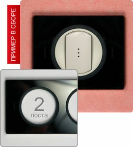 Рамка двухпостовая (Смальта Графит) ― Legrand-220.ru