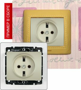 Розетка с заземлением, 16А ― Legrand-220.ru