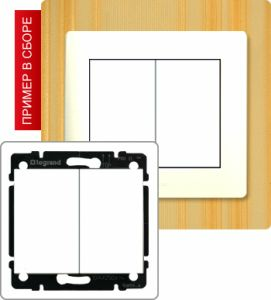 Выключатель двухклавишный 10А ― Legrand-220.ru