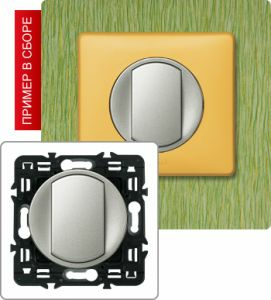 Кнопка с NC и NO контактами, 6А (Титан) ― Legrand-220.ru