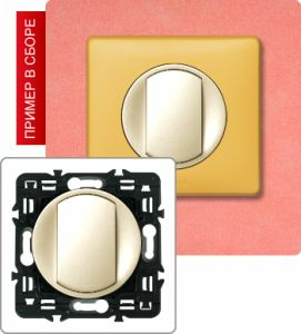 Кнопка 6А (Сл. кость) ― Legrand-220.ru