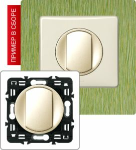 Кнопка с NC и NO контактами, 6А (Сл. кость) ― Legrand-220.ru