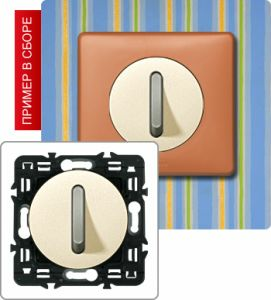 Бесшумный переключатель на 2 направления, 6А (Сл. кость) ― Legrand-220.ru