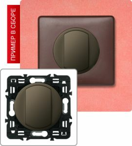 Выключатель одноклавишный 10А (Графит) ― Legrand-220.ru