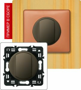 Кнопка с NC и NO контактами, 6А (Графит) ― Legrand-220.ru