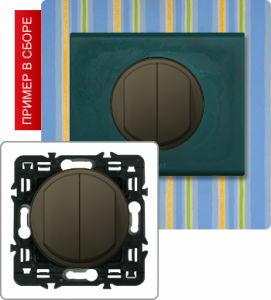 Выключатель двухклавишный 10А (Графит) ― Legrand-220.ru