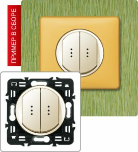 Выключатель двухклавишный с подсветкой 10А. (Сл. кость) ― Legrand-220.ru