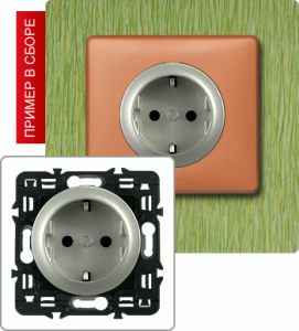 Розетка с заземлением, с защитными шторками с клеммами, 16А (Титан) ― Legrand-220.ru