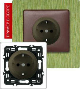 Розетка с заземлением, с защитными шторками с клеммами, 16А (Графит) ― Legrand-220.ru