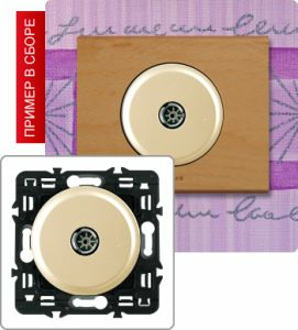 Розетка TV проходная (Сл. кость) ― Legrand-220.ru