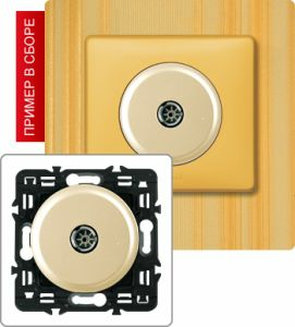 Розетка TV простая (Сл. кость) ― Legrand-220.ru