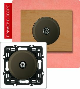 Розетка TV проходная (Графит) ― Legrand-220.ru
