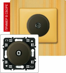 Розетка TV простая (Графит) ― Legrand-220.ru