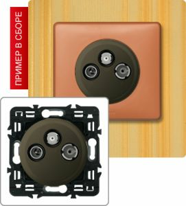 Розетка TV-RD-SAT простая (Графит) ― Legrand-220.ru
