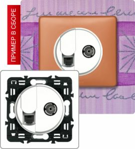 Розетка компьютер/телефон+TB розетка простая (Белый) ― Legrand-220.ru