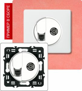 Розетка компьютер/телефон+TB розетка проходная (Белый) ― Legrand-220.ru