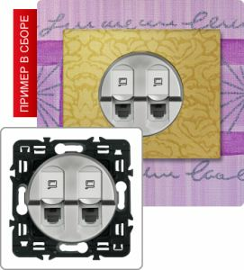 Розетка двойная компьютерная (Титан) ― Legrand-220.ru