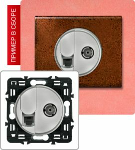 Розетка компьютер/телефон+TB розетка оконечная (Титан) ― Legrand-220.ru