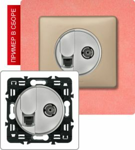 Розетка компьютер/телефон+TB розетка простая (Титан) ― Legrand-220.ru