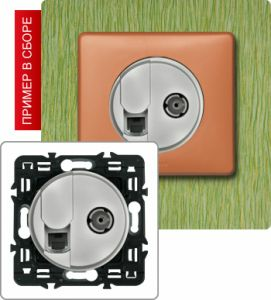 Розетка компьютер/телефон+TB розетка проходная (Титан) ― Legrand-220.ru