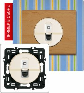 Розетка компьютерная (Сл. кость) ― Legrand-220.ru