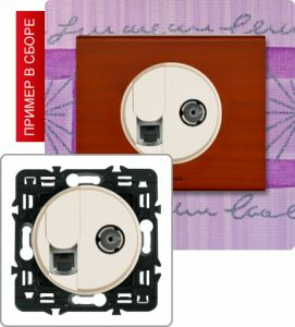 Розетка компьютер/телефон+TB розетка оконечная (Сл. кость) ― Legrand-220.ru