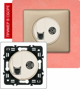 Розетка компьютер/телефон+TB розетка простая (Сл. кость) ― Legrand-220.ru