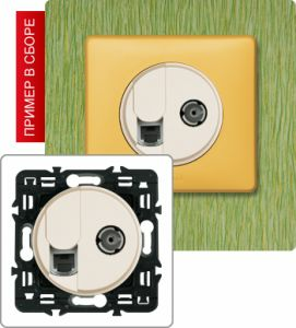 Розетка компьютер/телефон+TB розетка проходная (Сл. кость) ― Legrand-220.ru