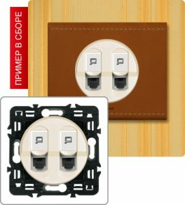 Розетка компьютер+телефон (Сл. кость) ― Legrand-220.ru