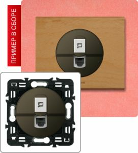 Розетка компьютерная (Графит) ― Legrand-220.ru