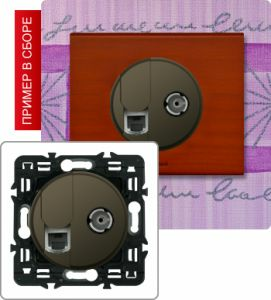 Розетка компьютер/телефон+TB розетка оконечная (Графит) ― Legrand-220.ru