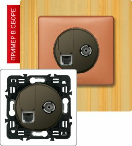 Розетка компьютер/телефон+TB розетка простая (Графит) ― Legrand-220.ru