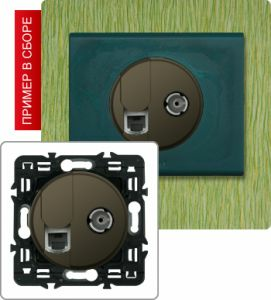 Розетка компьютер/телефон+TB розетка проходная (Графит) ― Legrand-220.ru